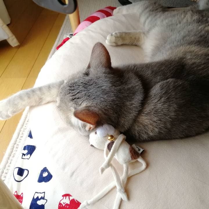 8084038e b9b8 437c 807c 9caa8a4be771 1530401962485