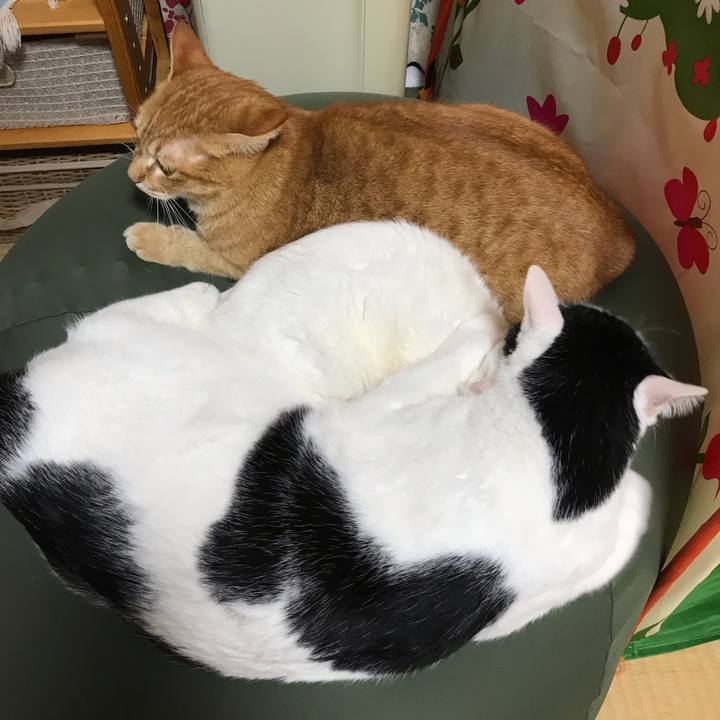 80845820 8f67 4e16 b251 5fb89c23c2d4 1551658170528