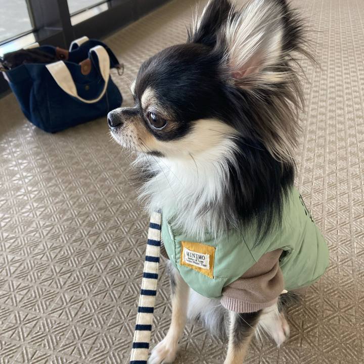 80845ae8 82a3 4f03 b8ac 04b972398360 1609648572248