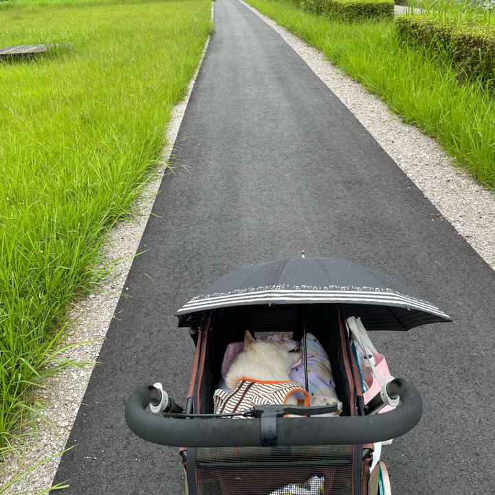 80845c1d edb2 4f3b 9bf6 2fc835fe1654 1657781703804