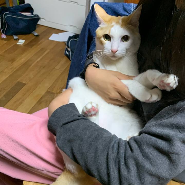 808488e7 2e06 469f 8217 829bbd75f9d7 1605020628208