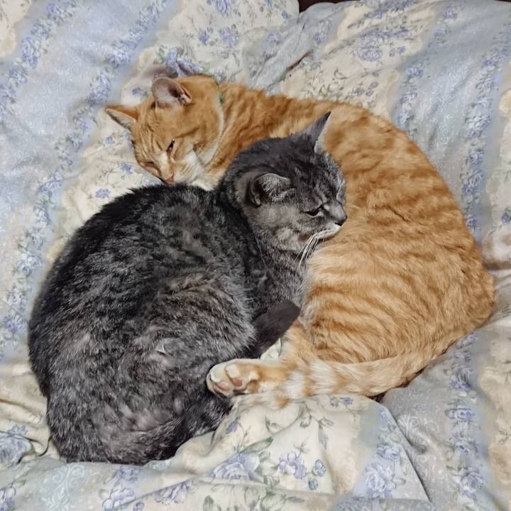 80848ccd 078e 4689 a3c2 02e775bfc6f6 1582027557394