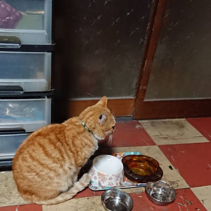 808496fb f97b 4fd9 9359 e3d81dba9fed 1586116276069