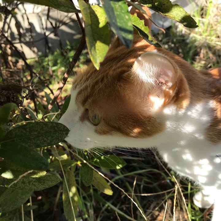 80849f81 9ea1 44af b26e b48534a5c45f 1511232731866