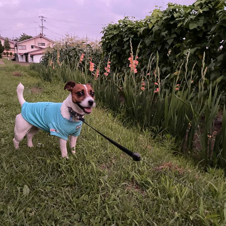 8084bca7 305b 4011 8a3f 748a281e7568 1626957650180