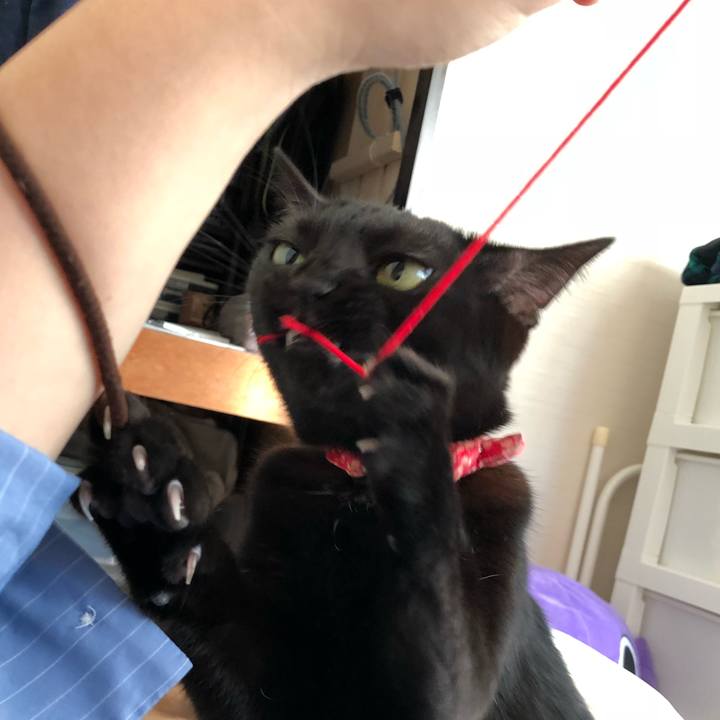 8084d1a3 c4b2 4e4c 8de2 6f5831383529 1511216770685