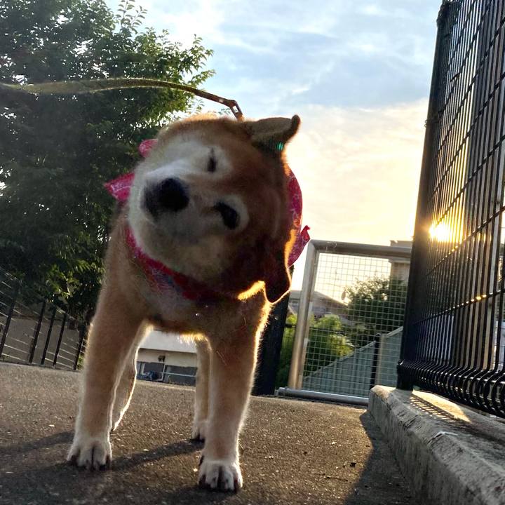 8084d575 3b81 4a0c b7ce 09048c2333b8 1656494973433