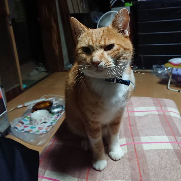 8084dea3 c1da 4707 bca8 3f425274947c 1601583016389