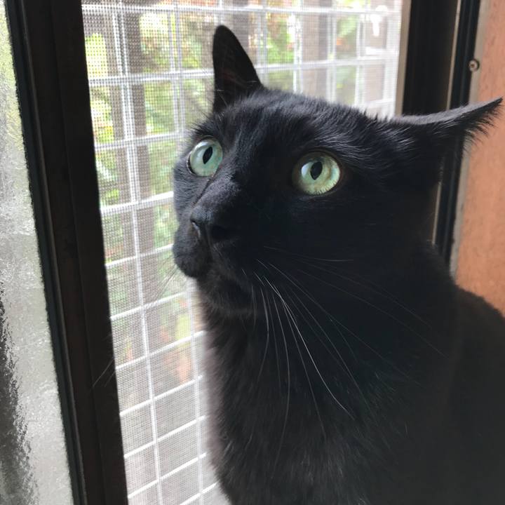 8084ff57 6af9 43b0 b853 bdfd5d04eb39 1525741720603