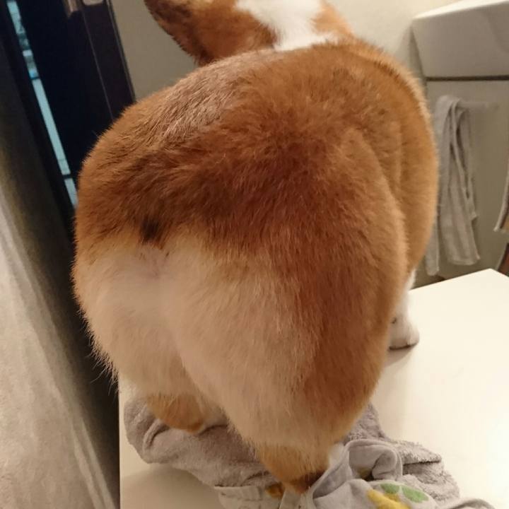 80850560 f9bd 4f67 814c f812b343978f 1553944443905