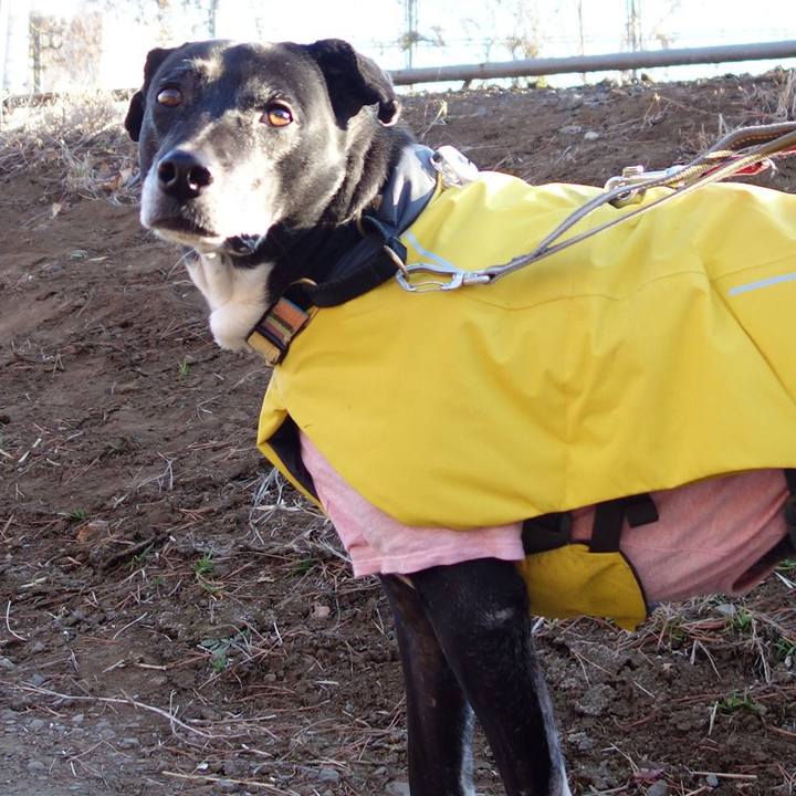 808555c9 9688 4fe9 97ad 374ccd5f6cf1 1738109278582