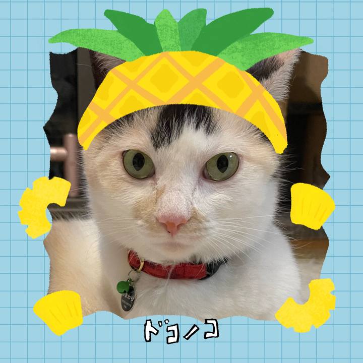 80856af9 85bf 4418 8b25 e7590aefcefc 1783606398457