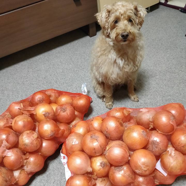 80857dd8 2c86 49ab 93d6 49f75abf3b93 1600247532011