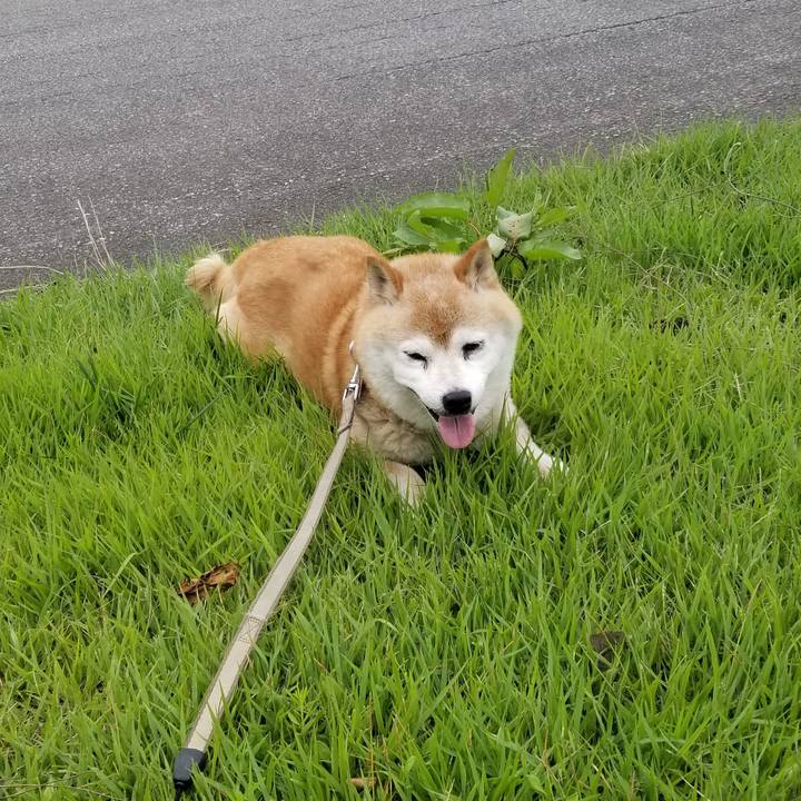 8085b2d3 7385 47c8 a482 3ddcb1935ffb 1719897829707