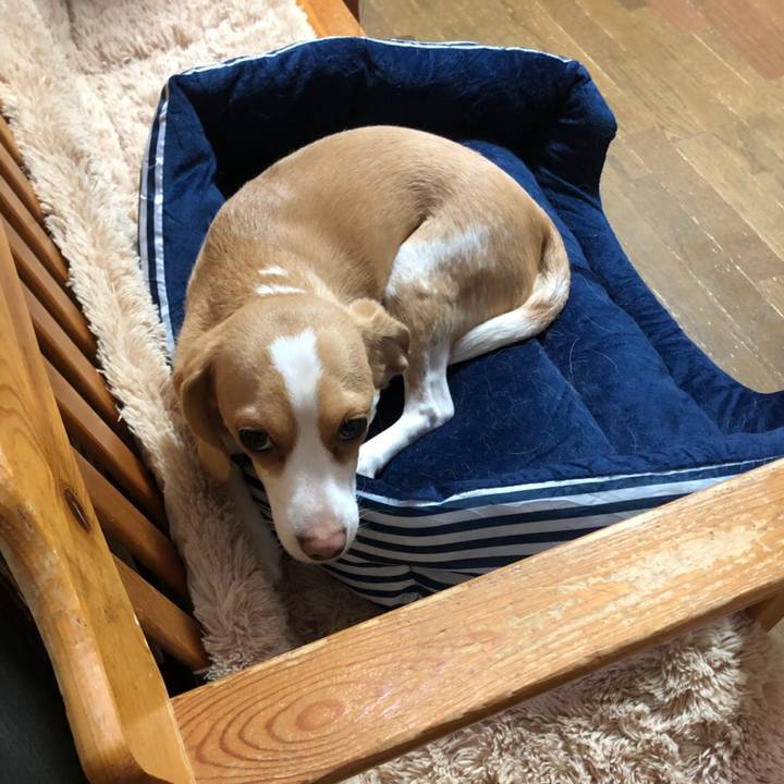 8085da38 7286 47e3 bfe8 5af9f4f626e6 1557743486675