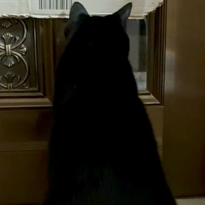 8085e2d0 10c4 49b7 b980 572eed643693 1763200819073