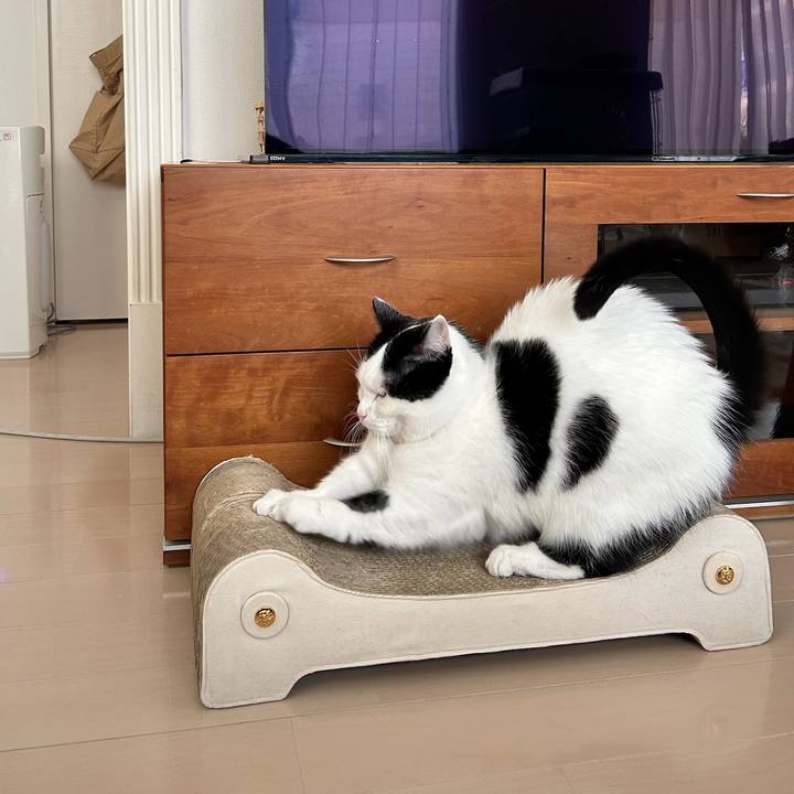 80861142 347b 4b44 a5ce a94e057b04e4 1769300891769