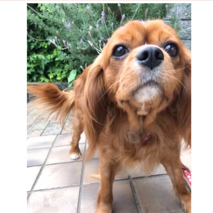 80861469 70d9 4ca5 9ef5 379f79c40ae4 1559473013137