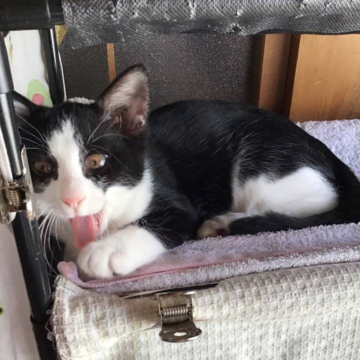 808615dc 5108 45e4 bda6 423be1da63ca 1627003825658