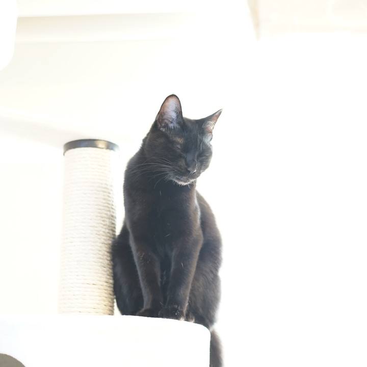 80861c39 8aad 4c0d b4b9 2cbf30af49a8 1517181917708