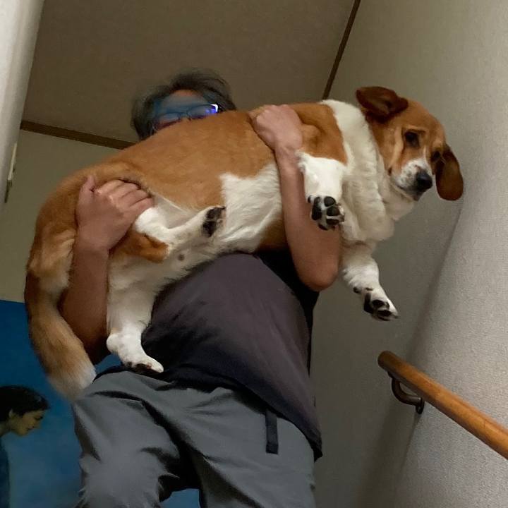 808640a1 d2ee 4ff0 88af eb9fb5275302 1683424204066