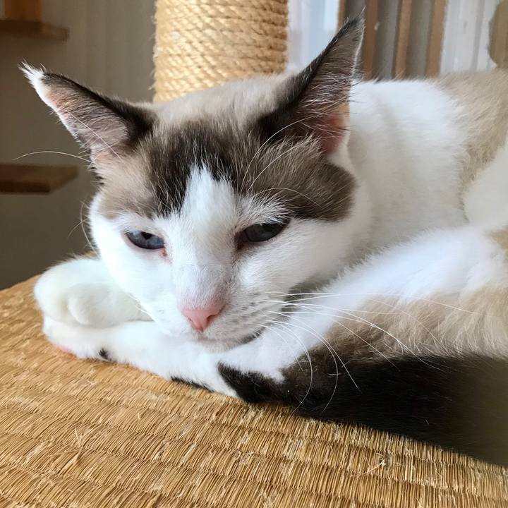 808664d5 829c 4a40 ae23 2ea6747a002e 1602043200357