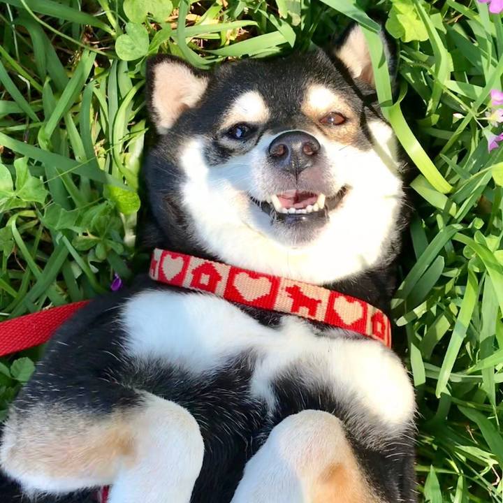 808669a3 2584 46ee a0e4 9b1ec2fa6315 1556936600363