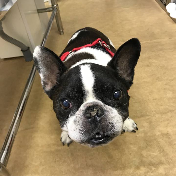 80866cb9 b7ce 418a ad1a abd638f7cd8b 1512521374263