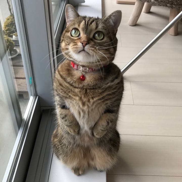 8086753c 0c8e 42d3 9feb be5ff3343fb0 1521703791974