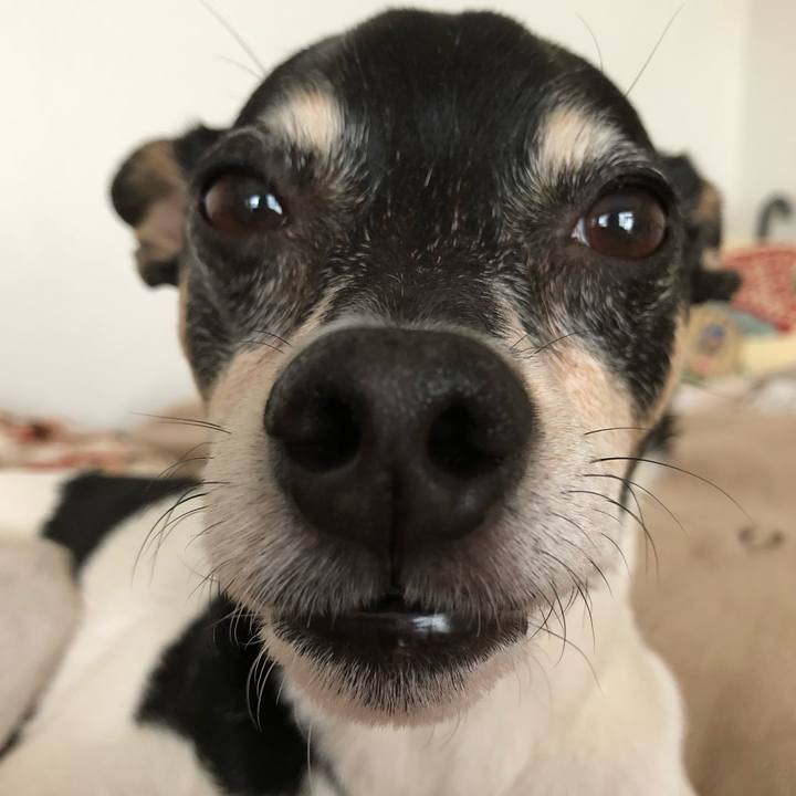 80868607 fc09 4552 bd33 959eebbfa07c 1523762067599