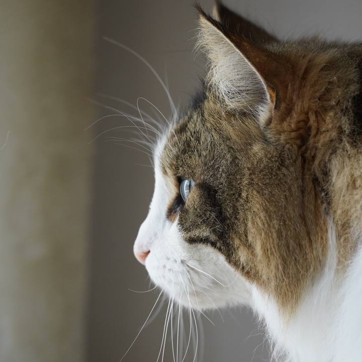 80869044 41c2 4ce5 bb99 5b131e970e97 1648251981267