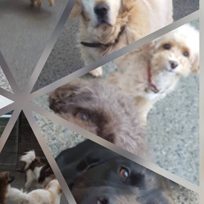 8086a09d 8815 42a6 9d43 ffc789aa0444 1545432726810