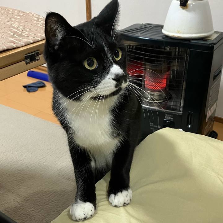 8086fc2d cce6 4e84 a69f fed7de9c5f1d 1710732134760