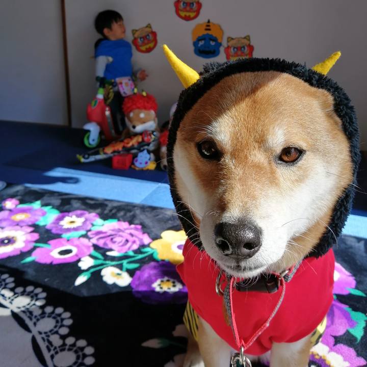 808730a5 5364 4de2 89e0 92a26133b38a 1580609115127