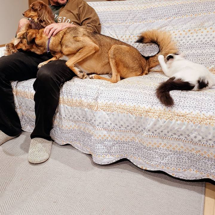 80873620 6b41 44c3 90ba 3778e179a138 1765798360667