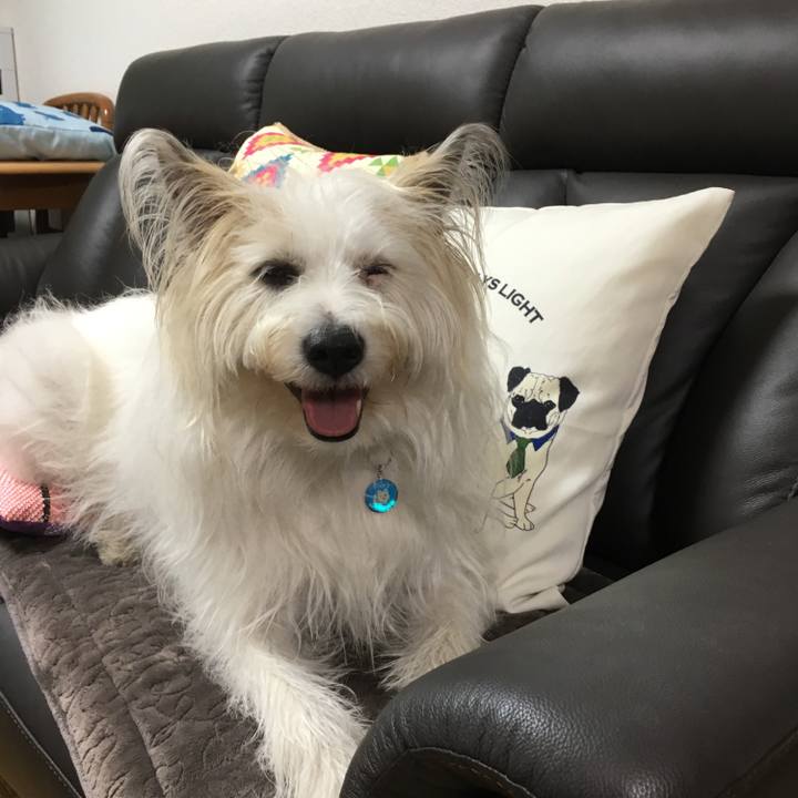 80874d1c 7b9c 4f6c 9db4 8a53e1faaf83 1531543486668