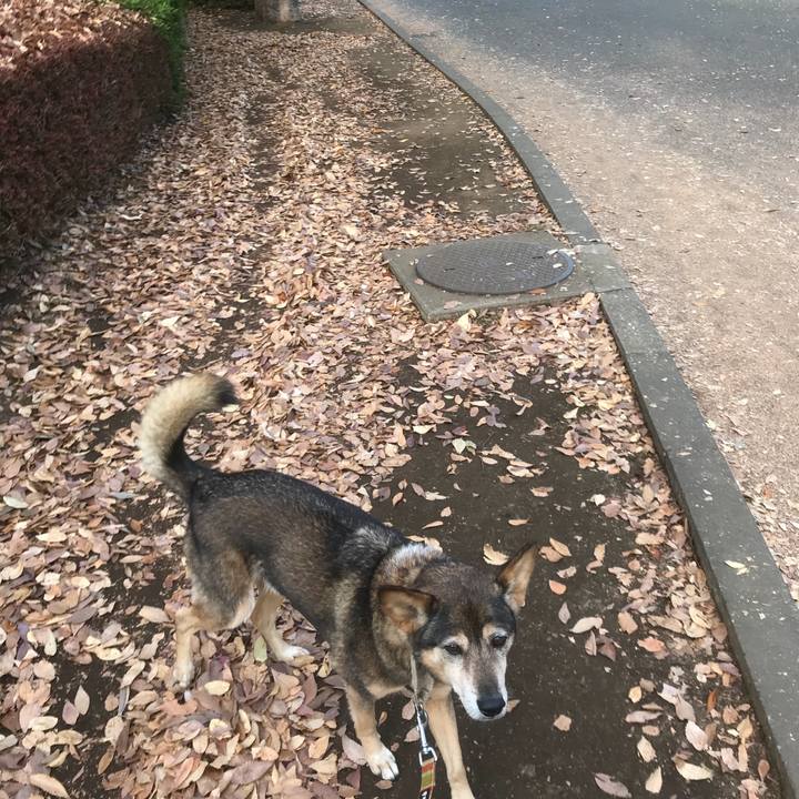 80877865 b877 41f1 822e e2dcaf657a15 1510555969385