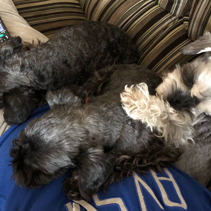 8087b17f c61a 4ee5 b7cb 4138cee6e30f 1585887068738