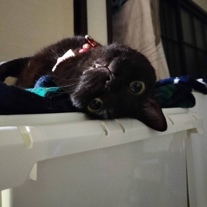 8087b76f 3695 4d21 9e13 e188019e6a2f 1672496817609