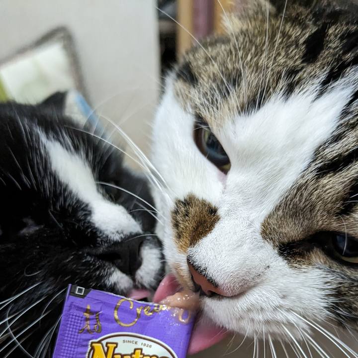 8087bc3c 8e2a 494c bcbf d8fcf4547c24 1695295514070