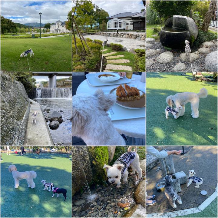 8087bdc5 f258 4f62 b0a8 438563e34ef0 1602413813480