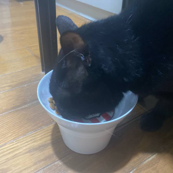 8087cd34 b579 4180 bb8e 029a03662676 1766214125013