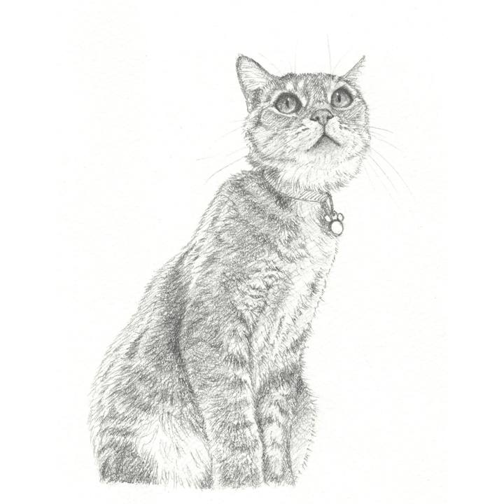 8087ce3e ad14 4b35 9168 ddfc1fba52d8 1555251547202