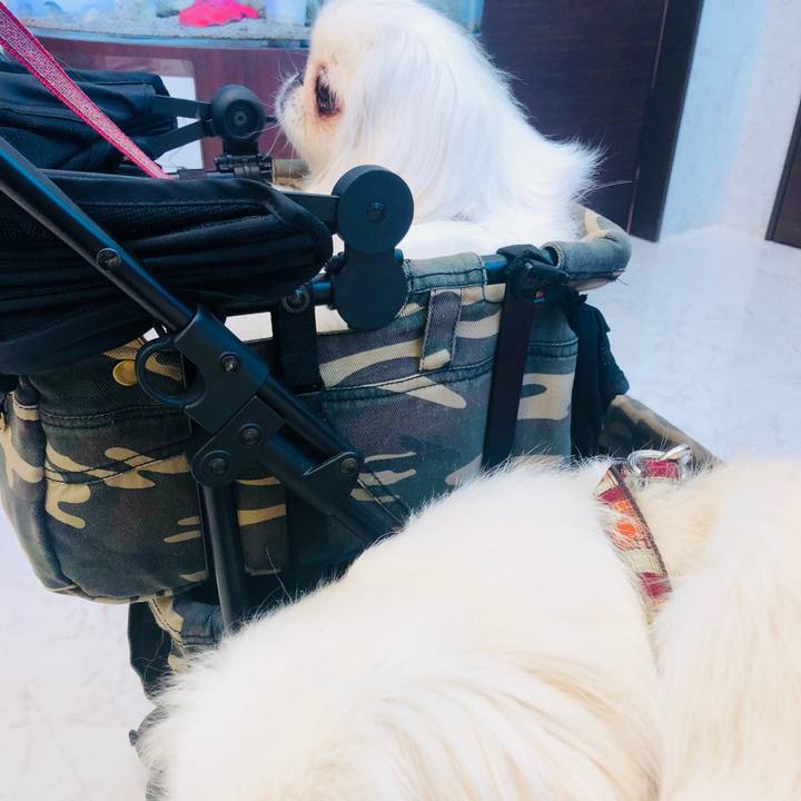 80880137 82a5 4fee a9ff abf45902ebb7 1550729704854