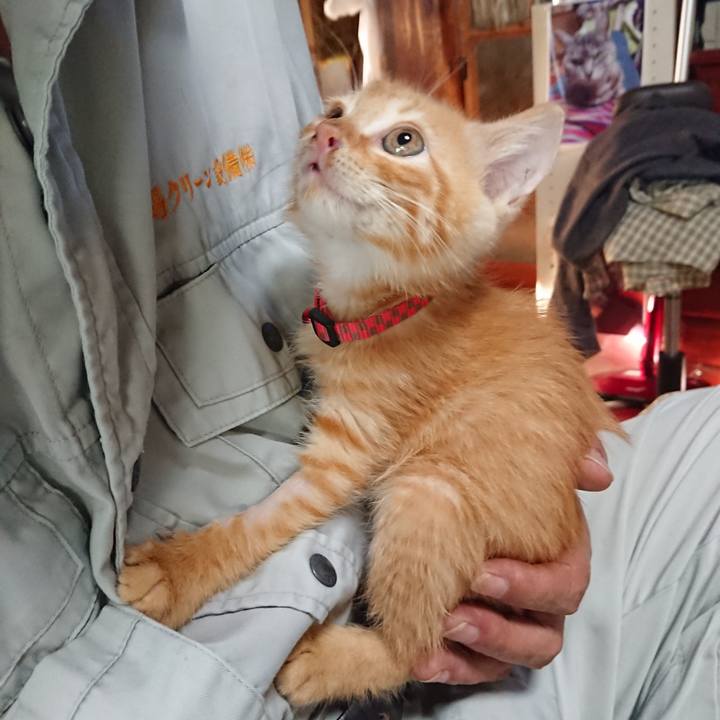 808847db bb36 4f2d 8752 cbe3119324de 1628026409501