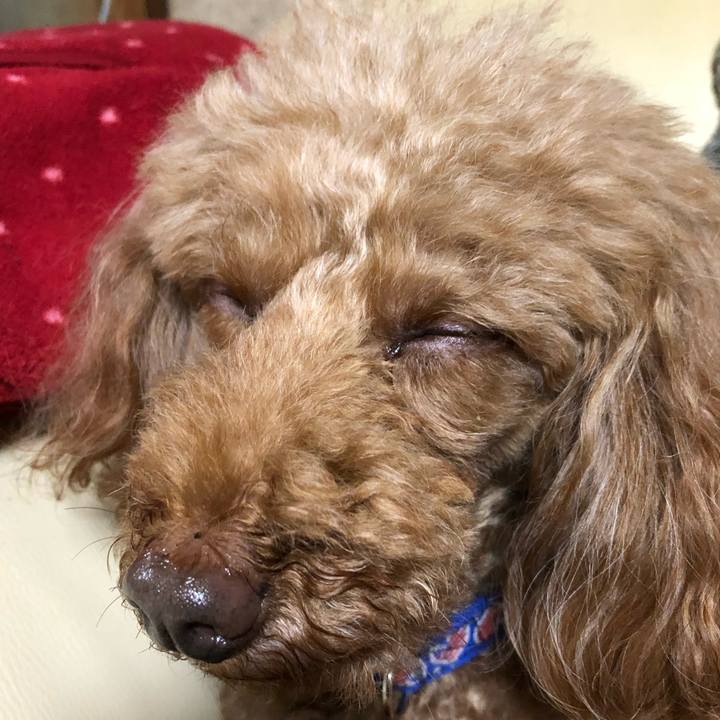 80887f00 bb1f 40e9 9d09 e5c65516703c 1584922375334