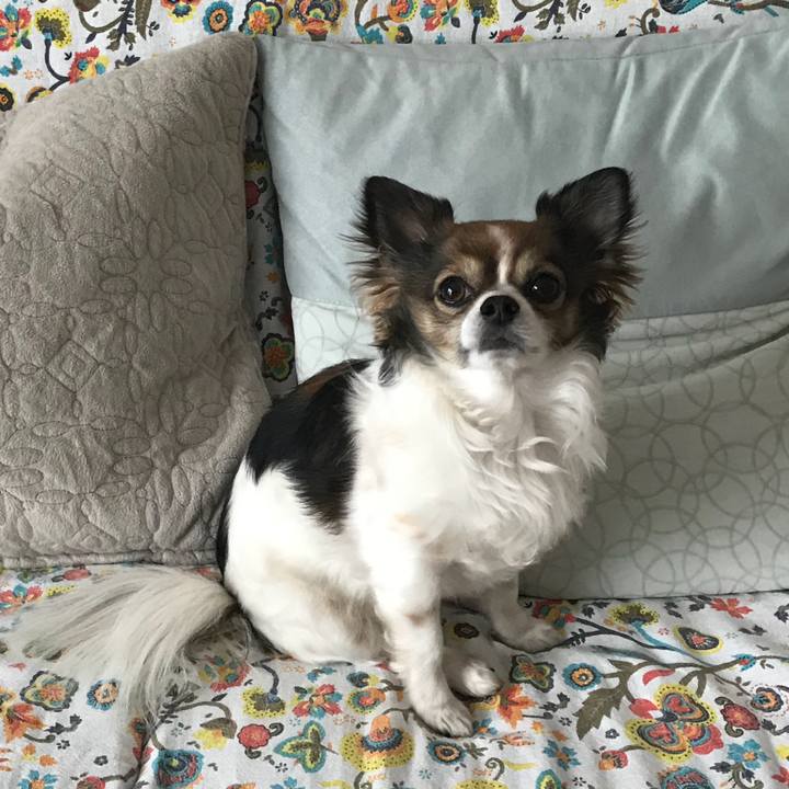 8088a4cc 1309 468e a825 12562121decb 1521692405686