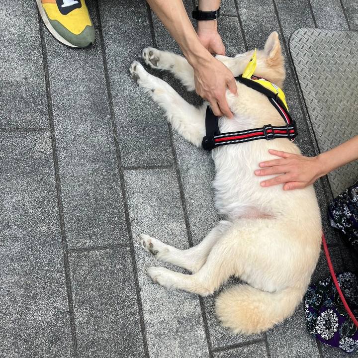 8088ad02 3bed 4b88 b800 ee02cc85e095 1699290598091