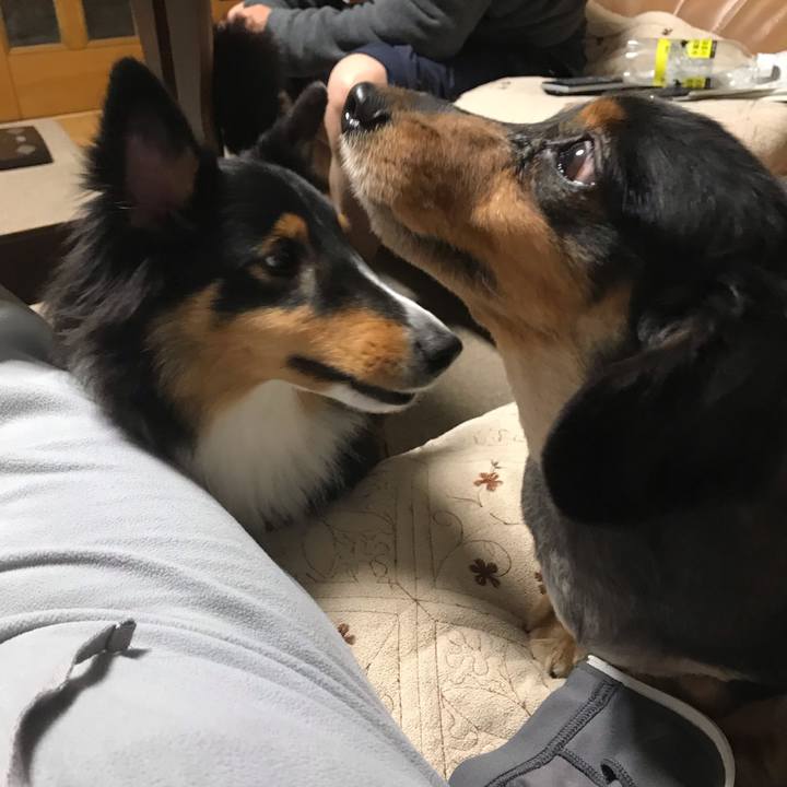 808903bd d533 42d8 9186 c9bcc921196c 1540504656544