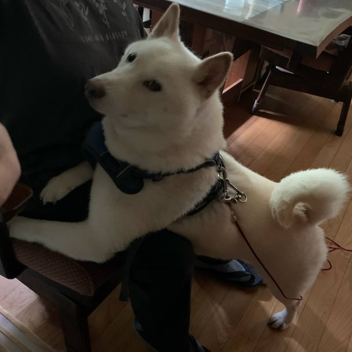 80890ecf 0de4 4701 b285 efaf1af3ef16 1628977720778